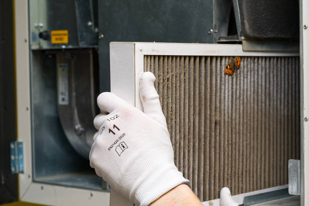Best Local Air Duct Cleaning Services  in Columbia, TN